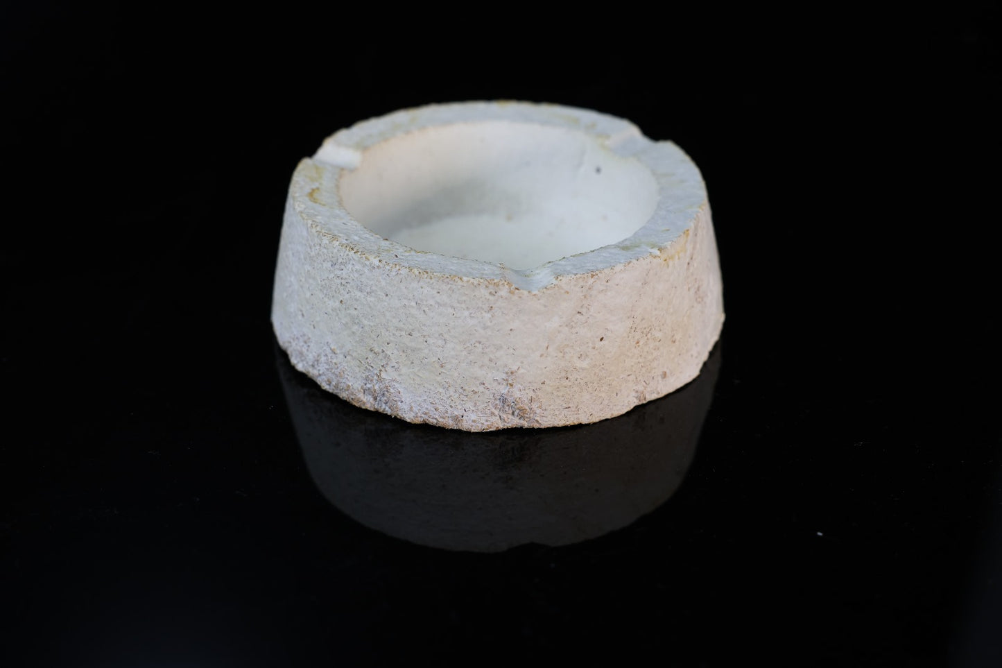 Myco-AshTray
