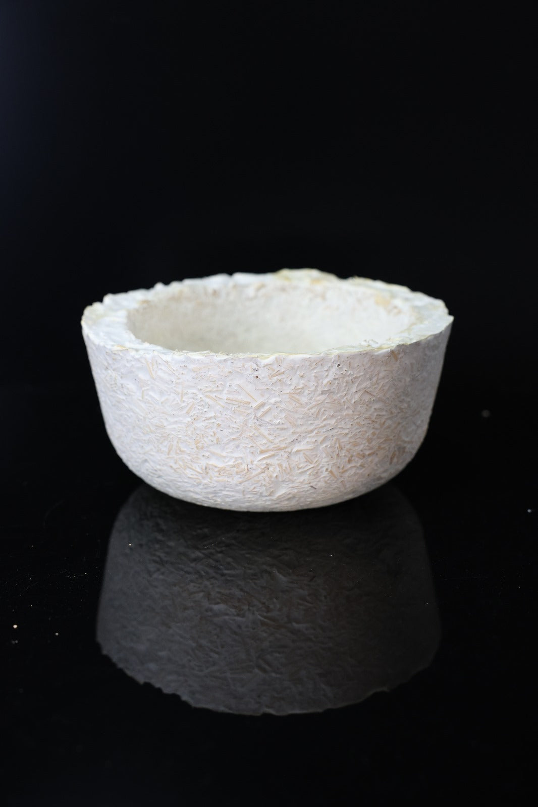 Myco-Coco 16cm