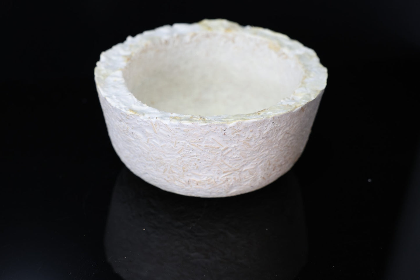 Myco-Coco 16cm