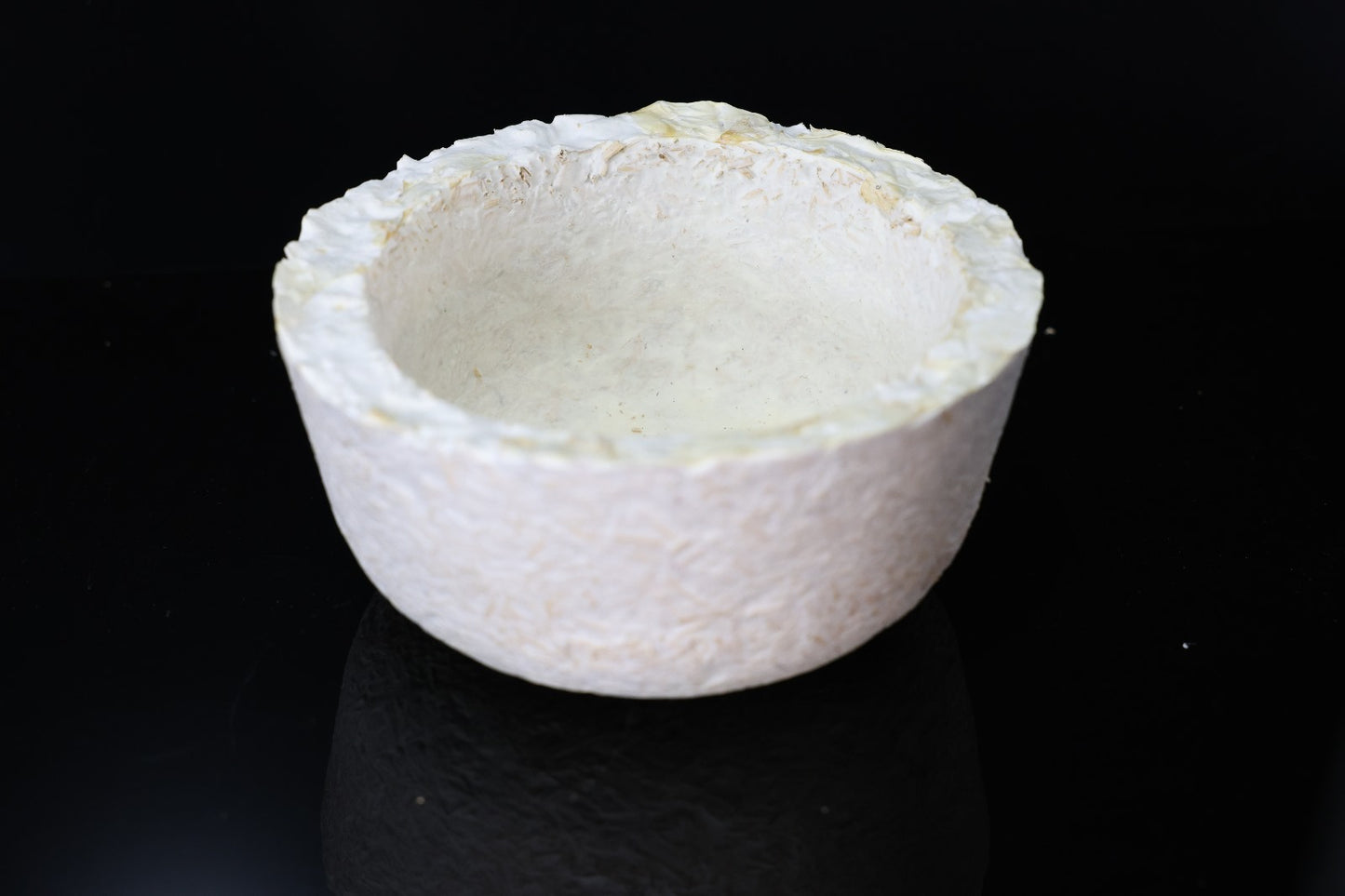 Myco-Coco 16cm