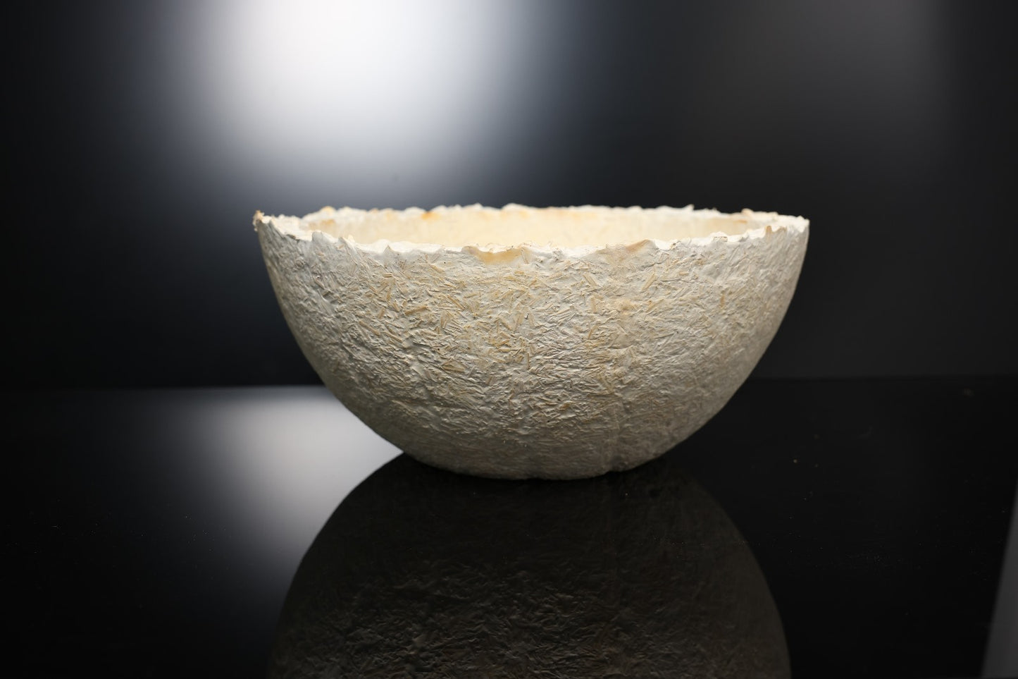 Myco-Bowl 36cm