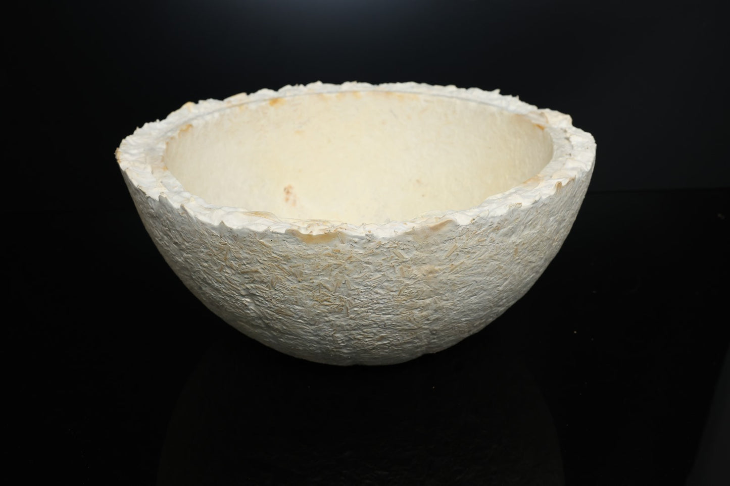 Myco-Bowl 36cm