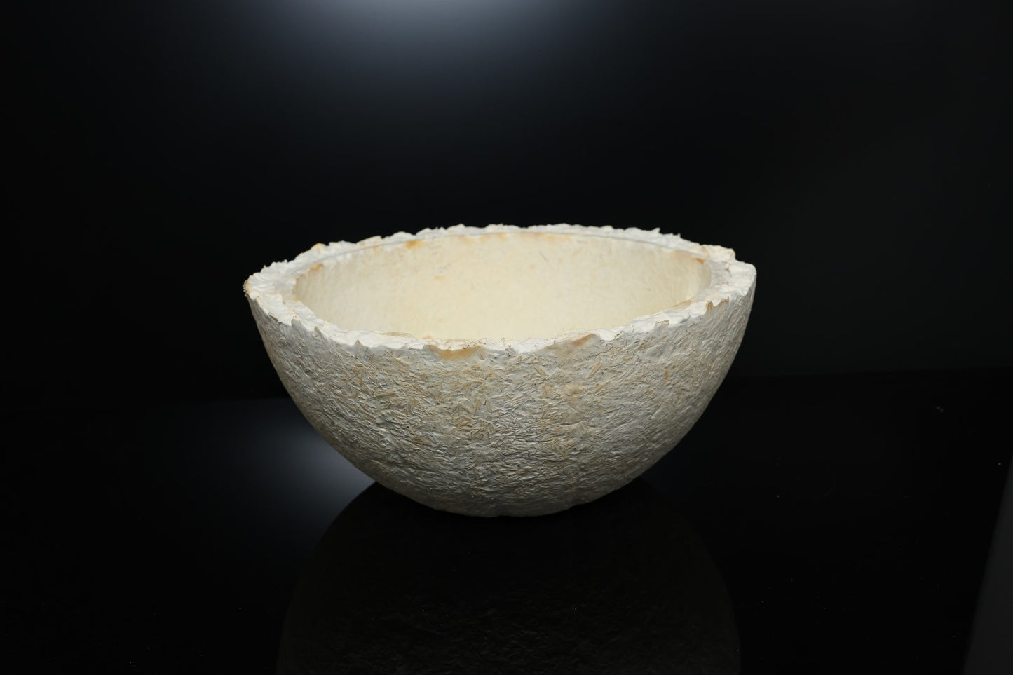 Myco-Bowl 36cm