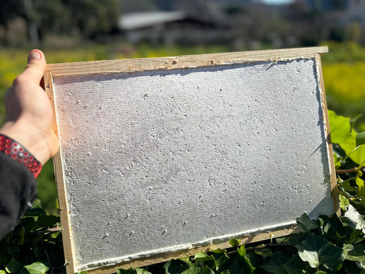 Diaphragm 2.5cm Testing