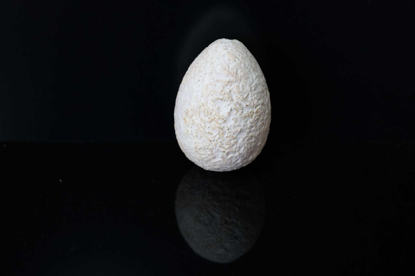 Myco-Egg