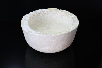 Myco-Coco 16cm
